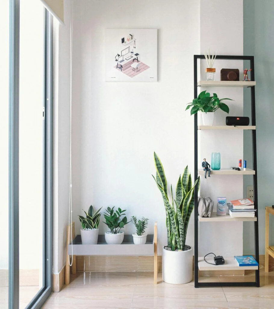 Minimalist Lifestyle