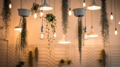 17 Leading Interior Design Studios in the United States