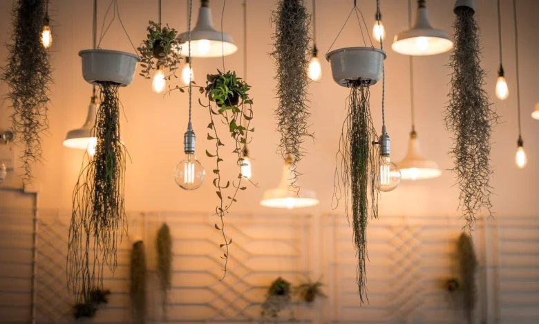 17 Leading Interior Design Studios in the United States