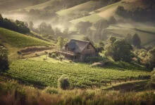Texas Hill Country Architecture